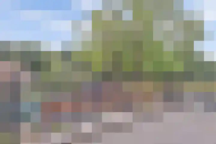 Tolhuis 2524 Nijmegen thumbnail 40