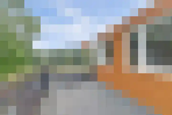 Tolhuis 2524 Nijmegen thumbnail 41