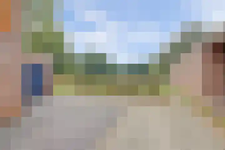 Tolhuis 2524 Nijmegen thumbnail 5