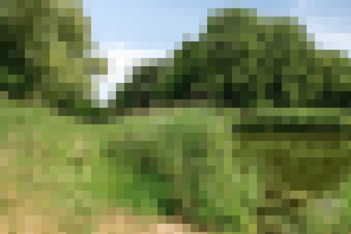 Tolhuis 2532 Nijmegen thumbnail 29
