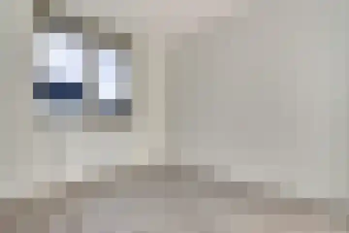 Tolhuis 2713 Nijmegen thumbnail 16