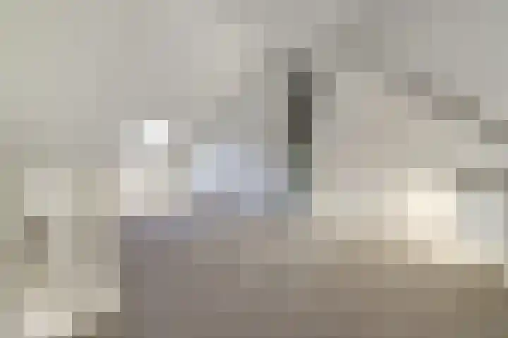 Tolhuis 2713 Nijmegen thumbnail 22