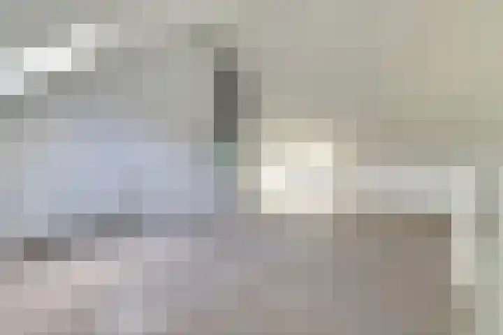 Tolhuis 2713 Nijmegen thumbnail 23