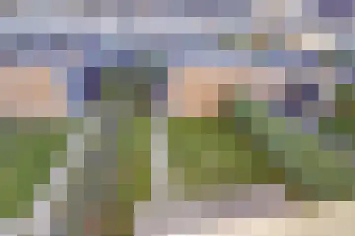 Tolhuis 2713 Nijmegen thumbnail 24