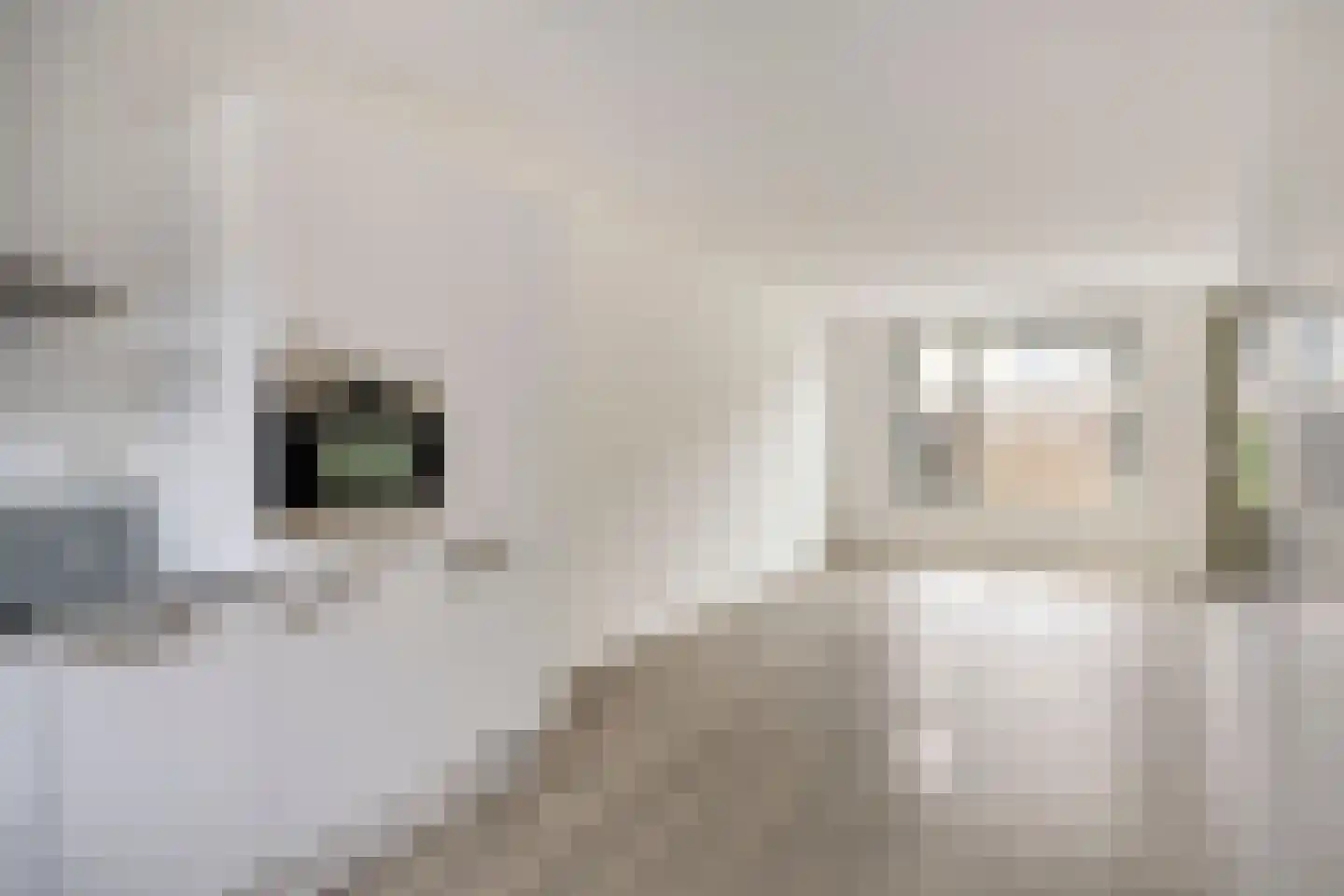 Tolhuis 2719 Nijmegen thumbnail 11