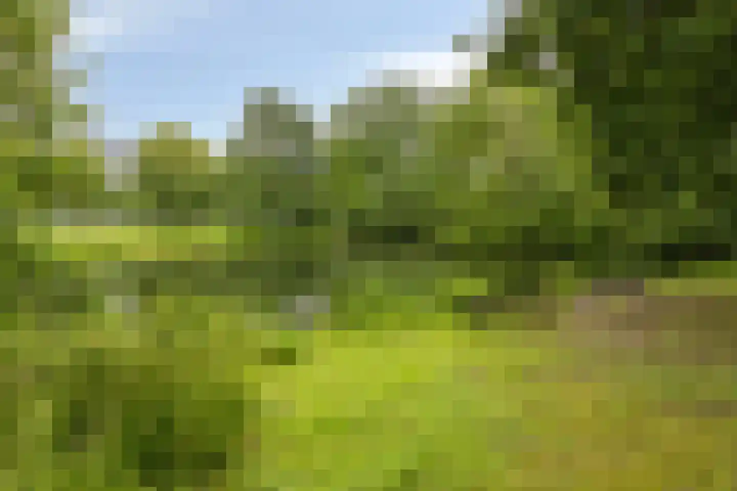 Tolhuis 2719 Nijmegen thumbnail 35