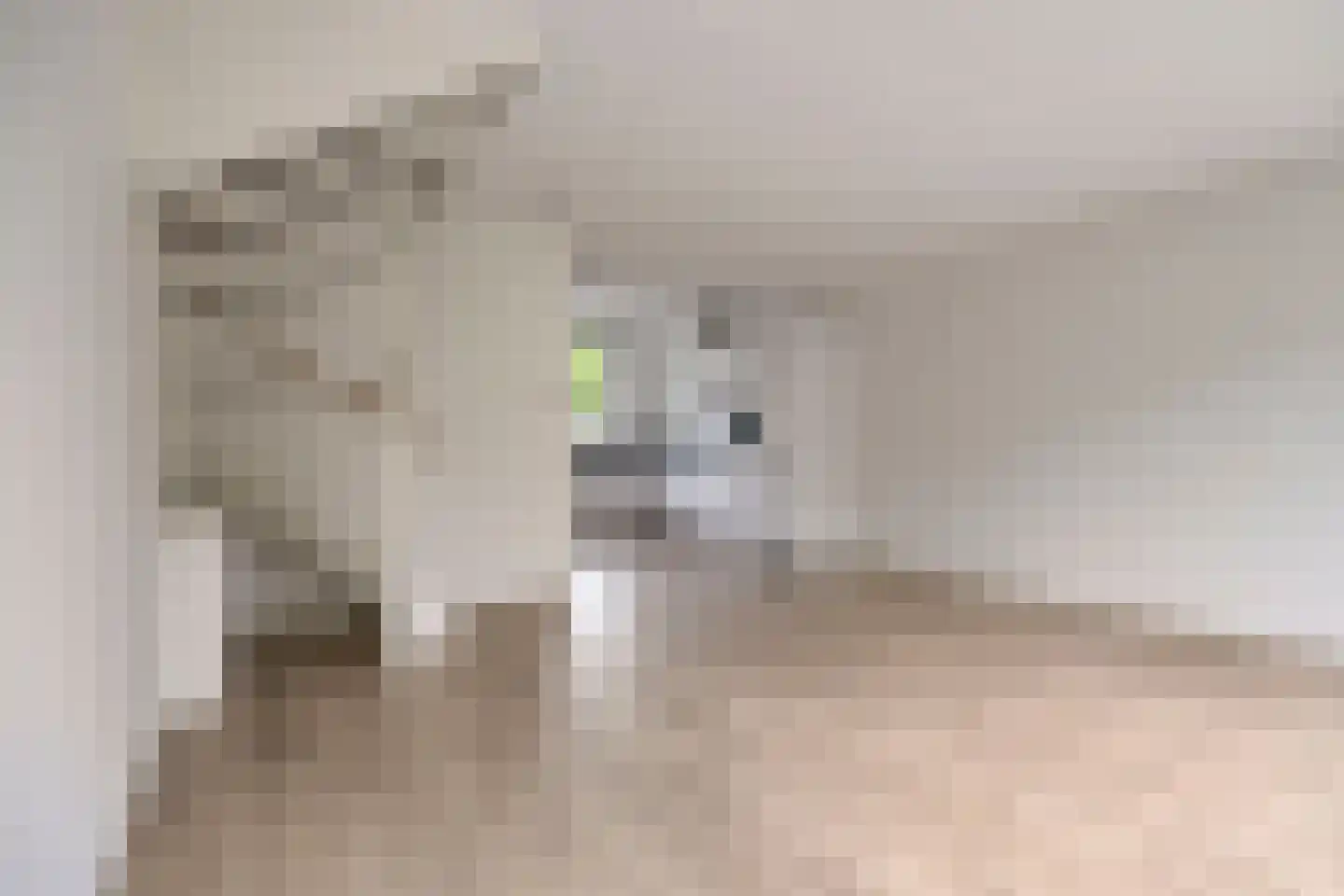 Tolhuis 2719 Nijmegen thumbnail 7