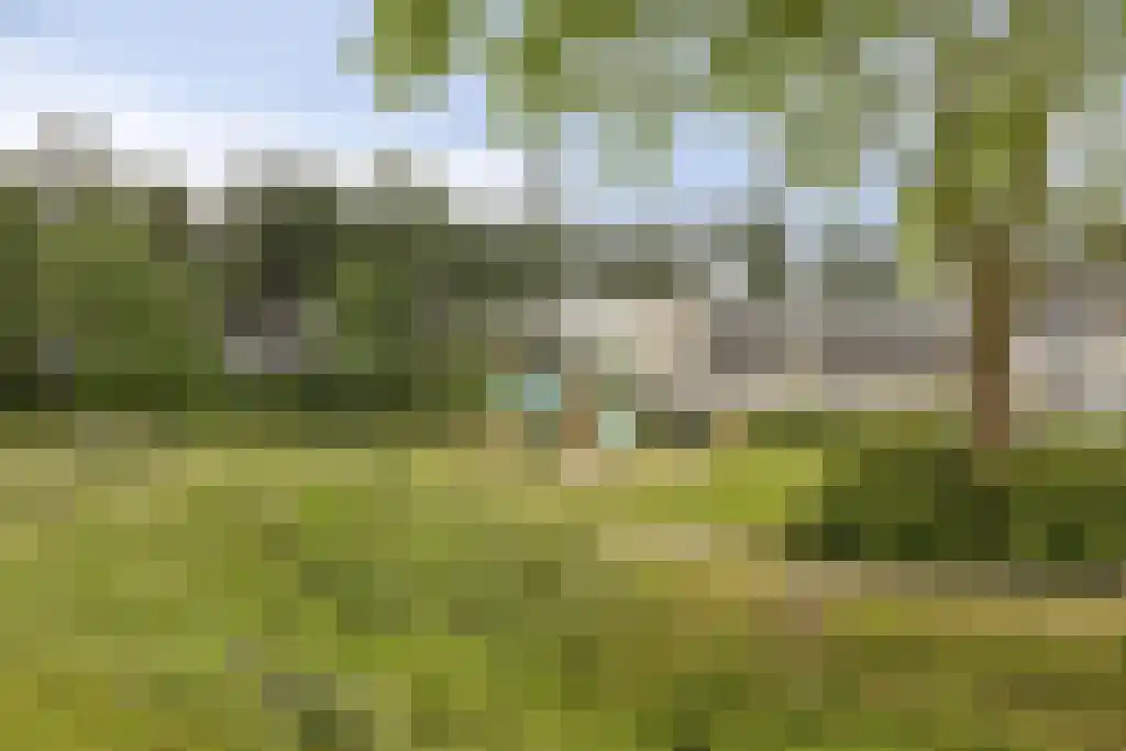 Tolhuis 2725 Nijmegen thumbnail 33