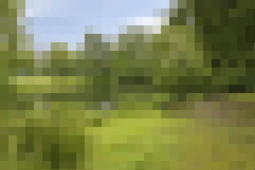 Tolhuis 2725 Nijmegen thumbnail 35