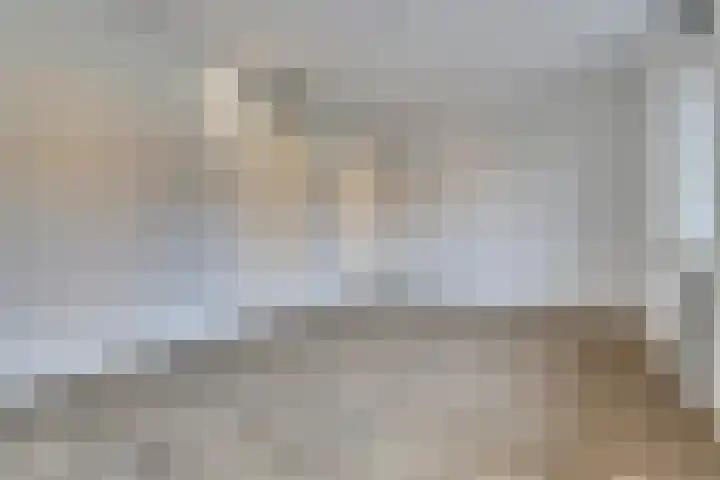Tolhuis 2731 Nijmegen thumbnail 12