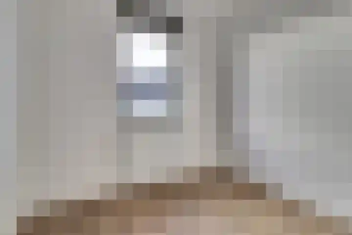 Tolhuis 2731 Nijmegen thumbnail 16