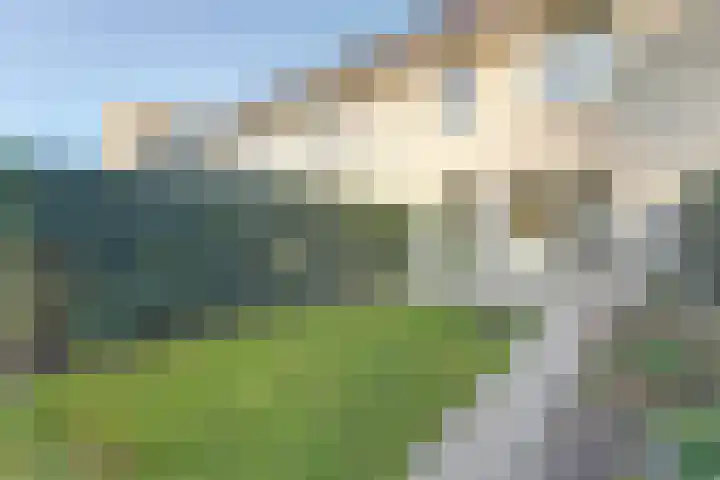 Tolhuis 2731 Nijmegen thumbnail 24