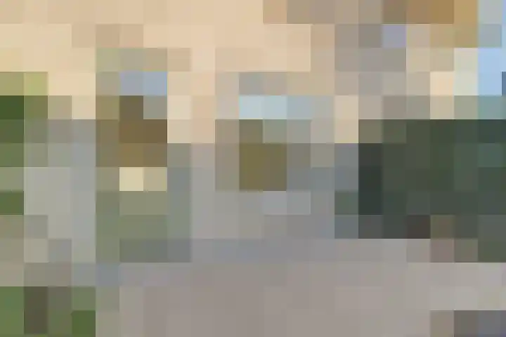 Tolhuis 2731 Nijmegen thumbnail 29