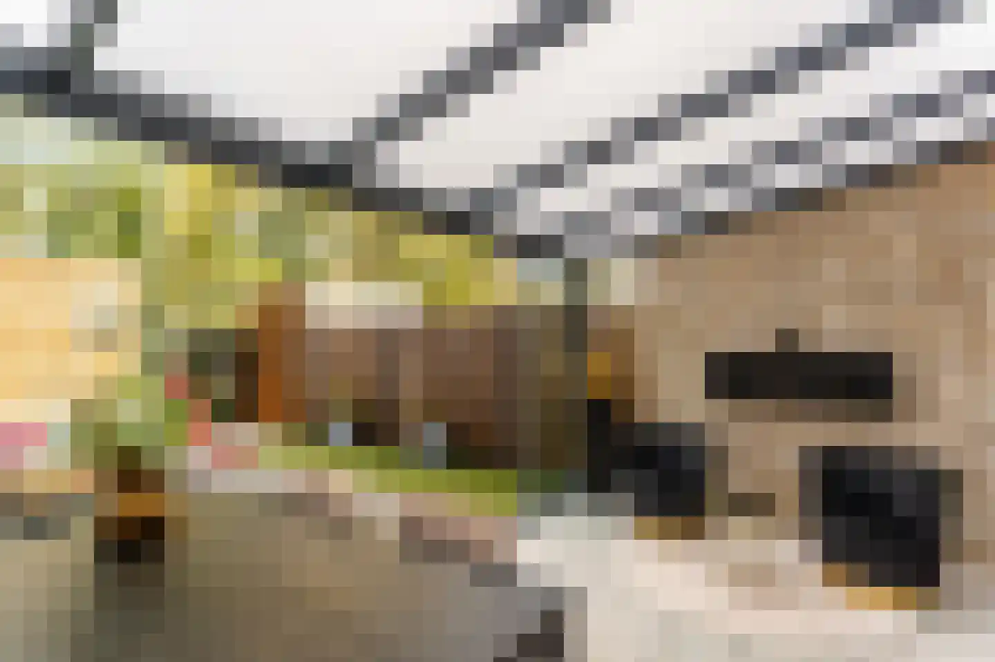 Tolhuis 2744 Nijmegen thumbnail 14