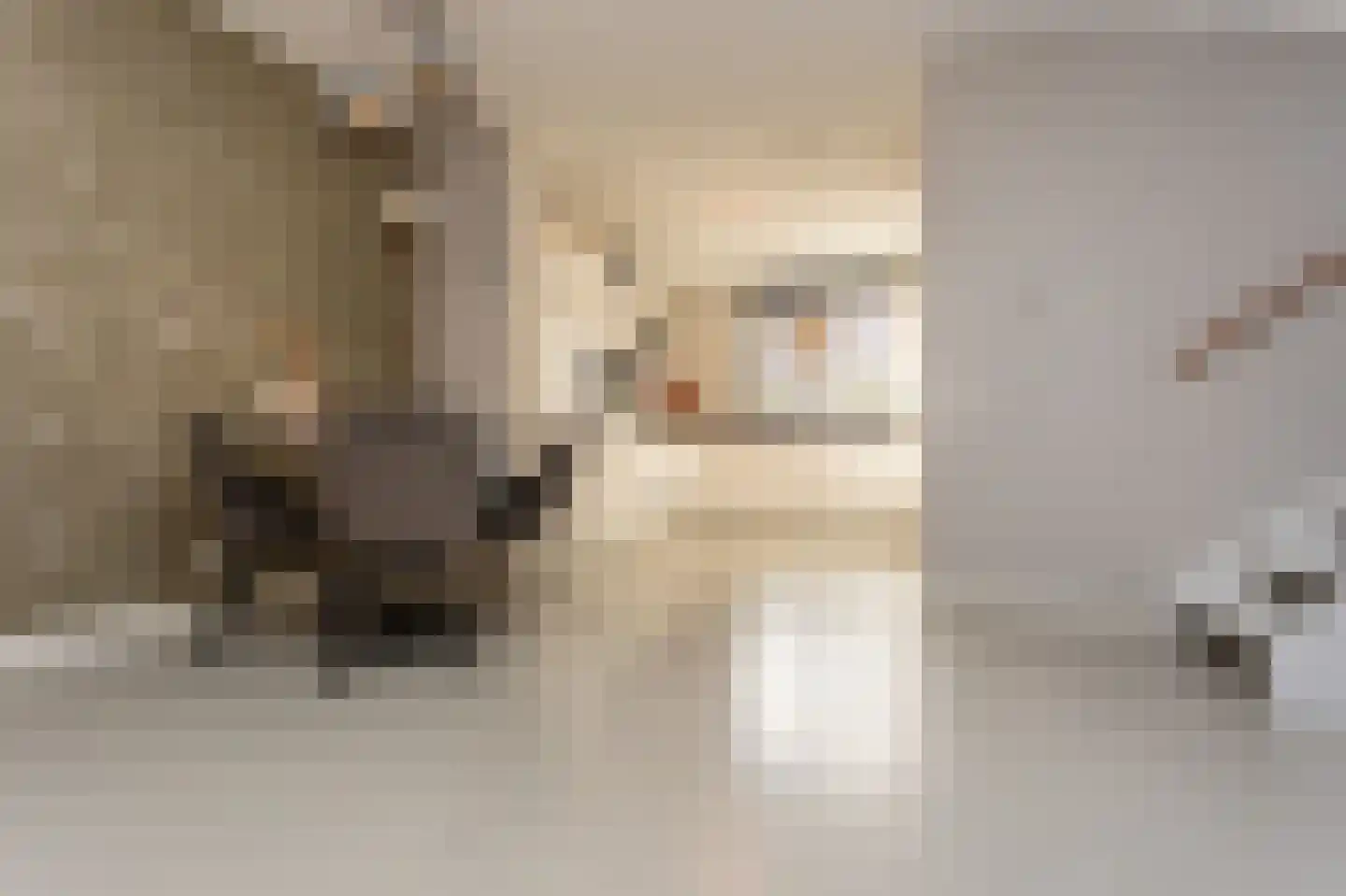 Tolhuis 2744 Nijmegen thumbnail 17