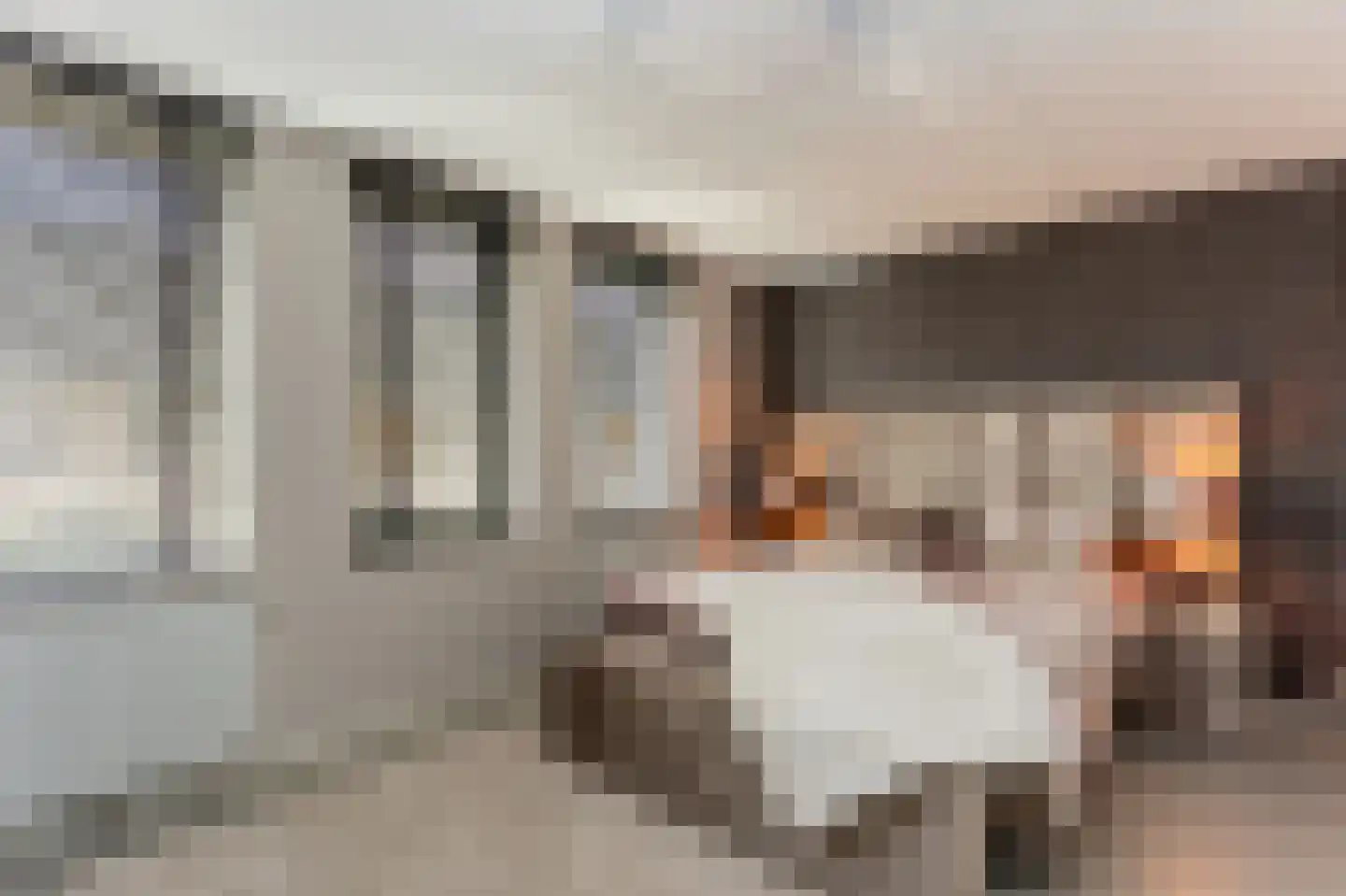 Tolhuis 2744 Nijmegen thumbnail 22