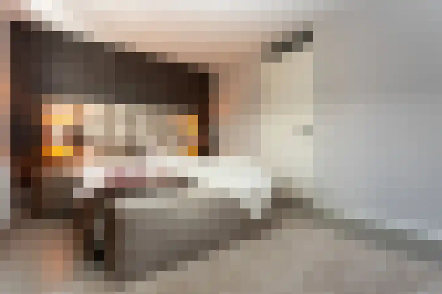 Tolhuis 2744 Nijmegen thumbnail 23