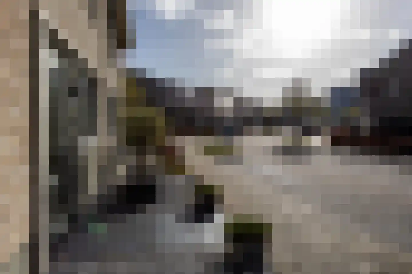 Tolhuis 2744 Nijmegen thumbnail 46