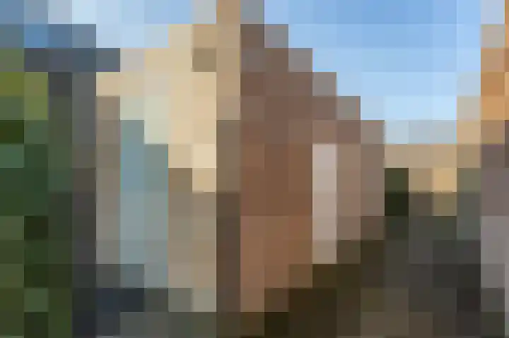 Tolhuis 2769 Nijmegen thumbnail 41