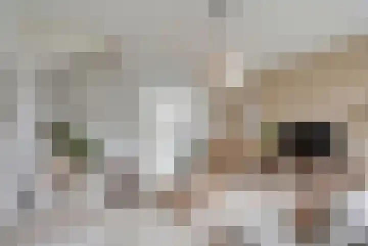 Tolhuis 2814 Nijmegen thumbnail 16