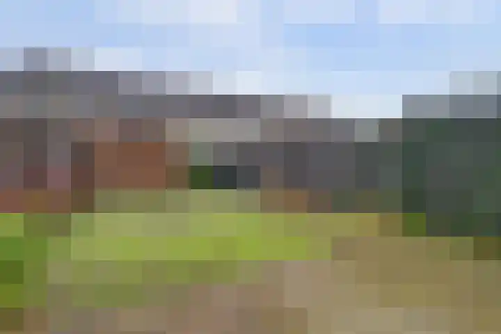 Tolhuis 2814 Nijmegen thumbnail 33
