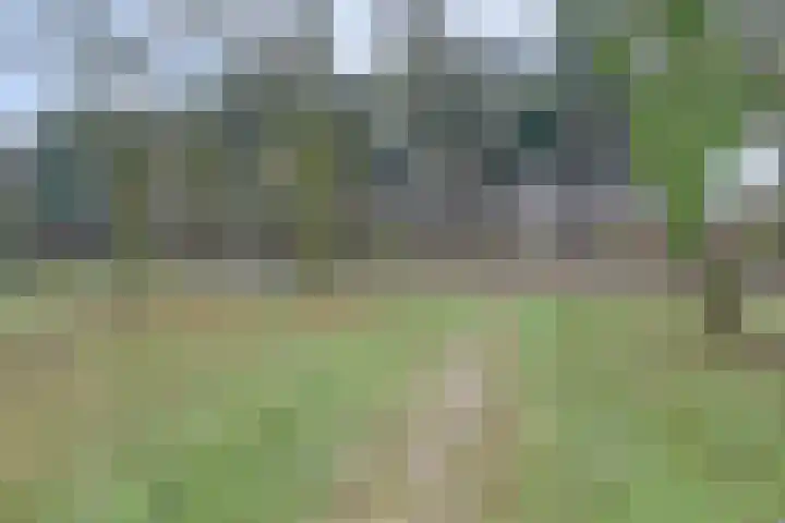 Tolhuis 2814 Nijmegen thumbnail 39