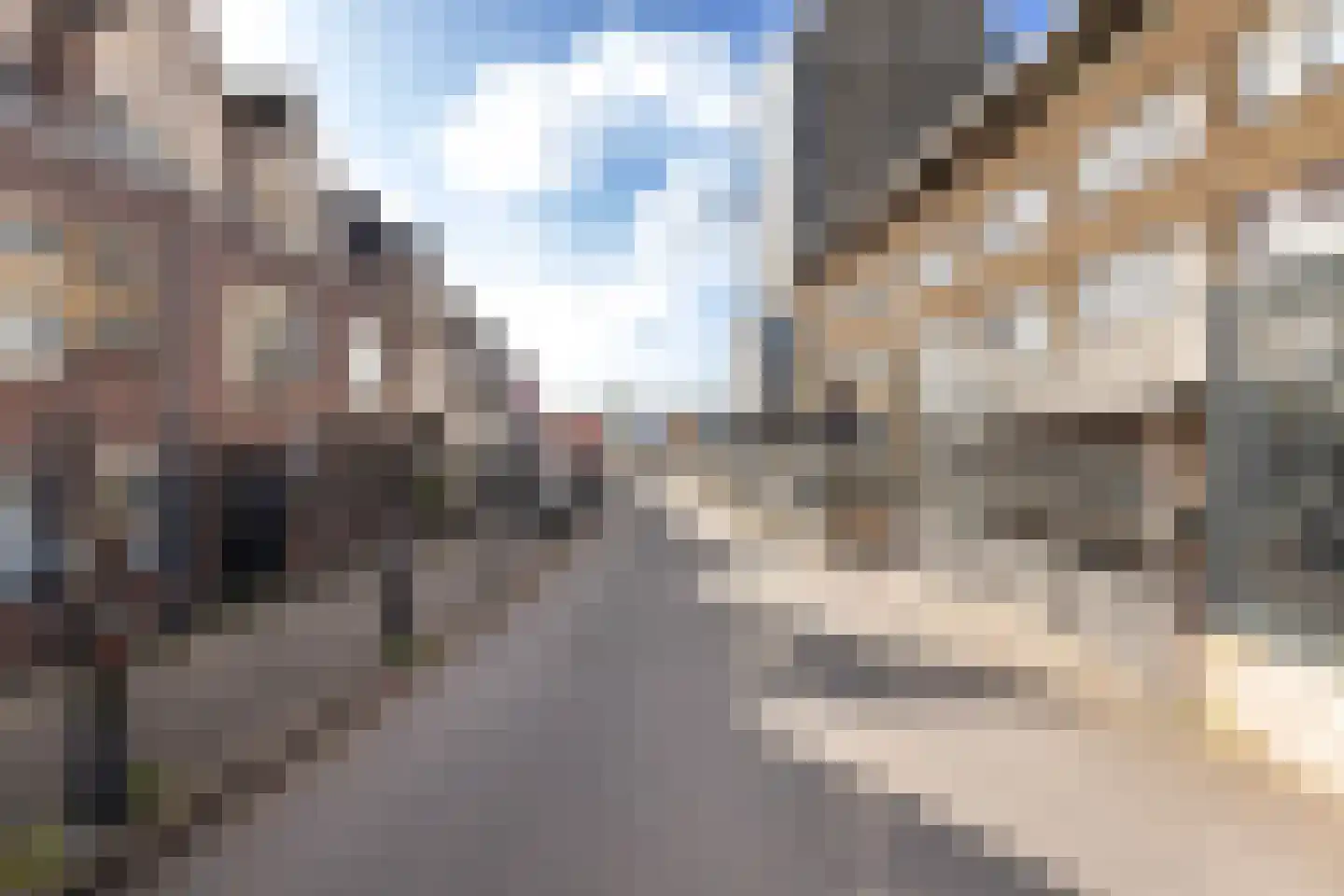 Tolhuis 29 Zwijndrecht thumbnail 65