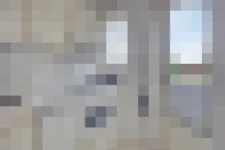Tolhuis 3104 Nijmegen thumbnail 17