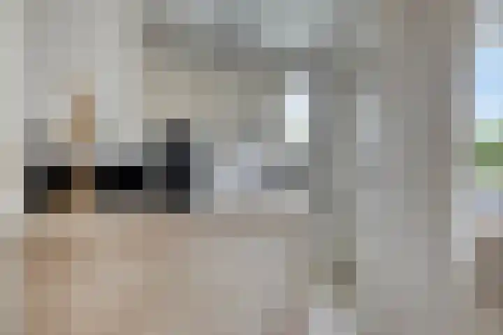 Tolhuis 3104 Nijmegen thumbnail 18