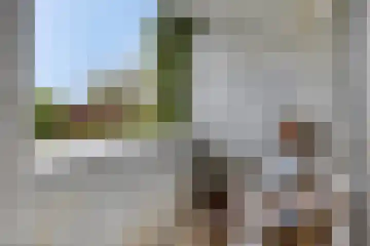 Tolhuis 3104 Nijmegen thumbnail 19
