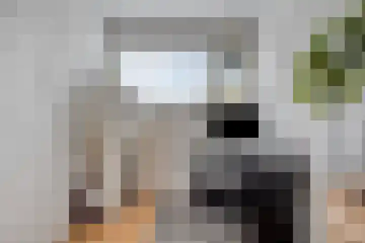 Tolhuis 3104 Nijmegen thumbnail 24