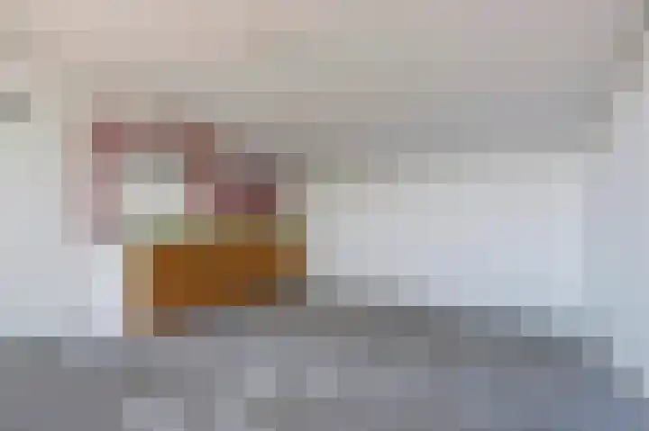 Tolhuis 3110 Nijmegen thumbnail 23