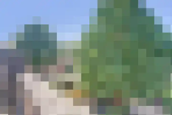 Tolhuis 3110 Nijmegen thumbnail 30