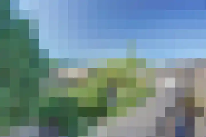Tolhuis 3110 Nijmegen thumbnail 31