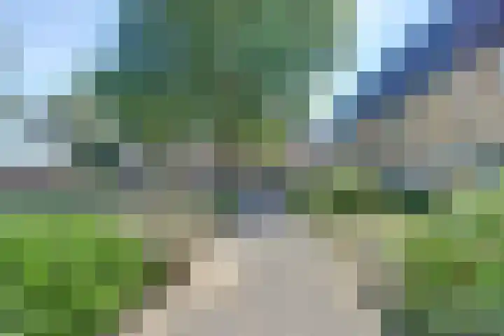 Tolhuis 3110 Nijmegen thumbnail 7