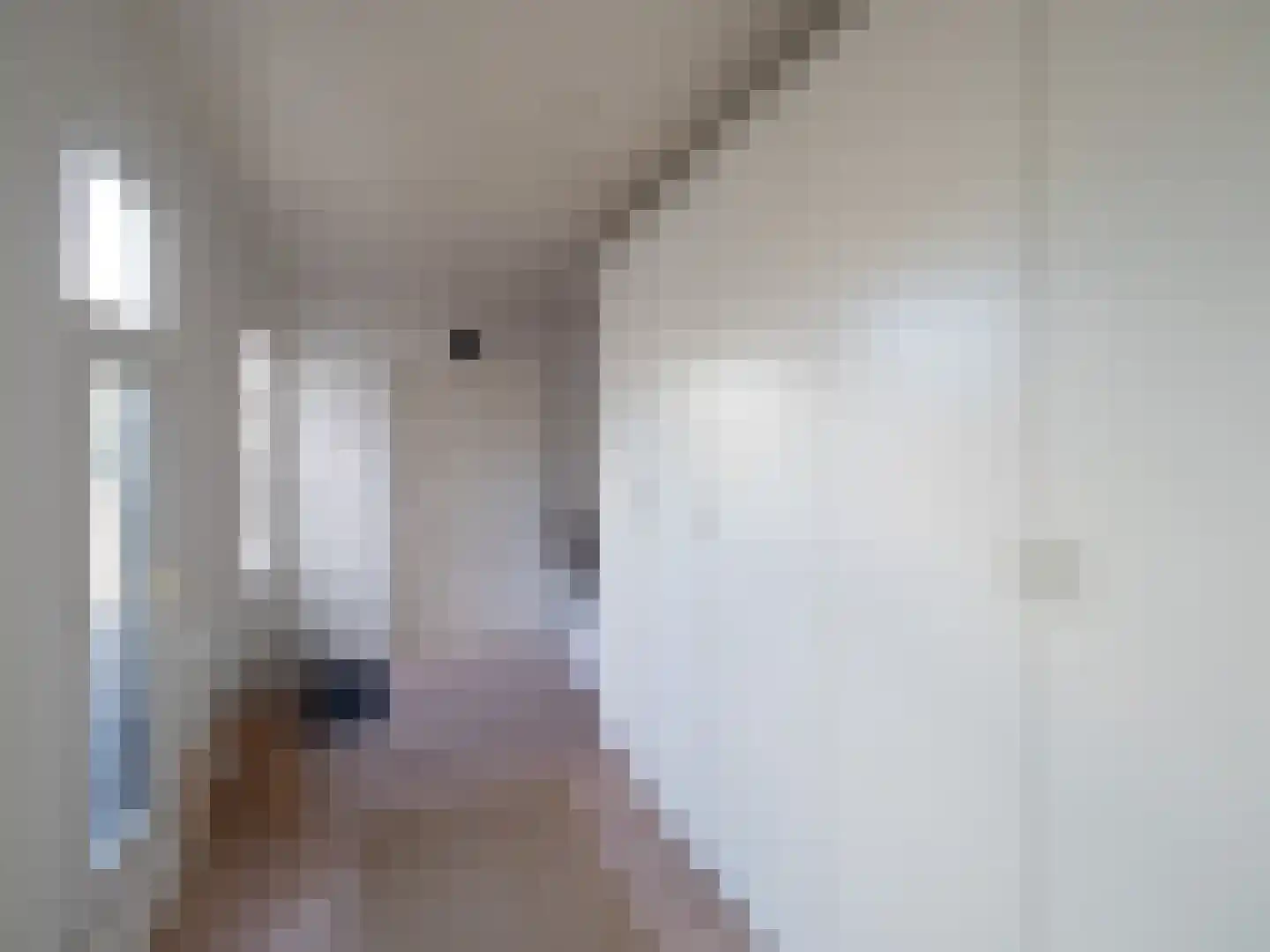 Tolhuis 3128 Nijmegen thumbnail 12