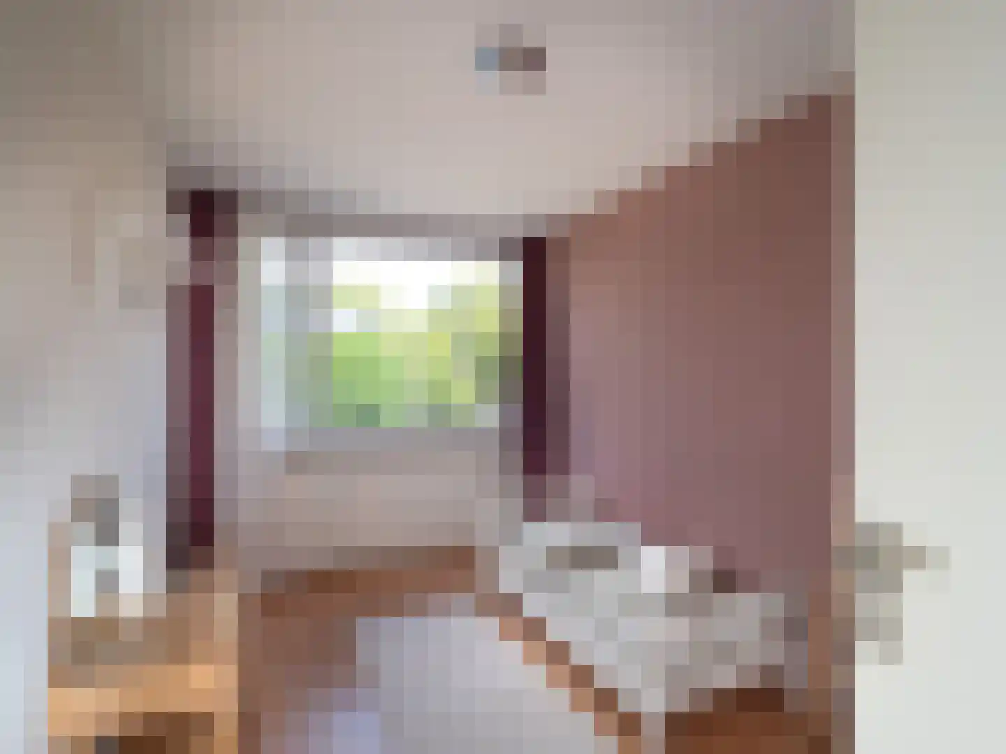 Tolhuis 3128 Nijmegen thumbnail 17