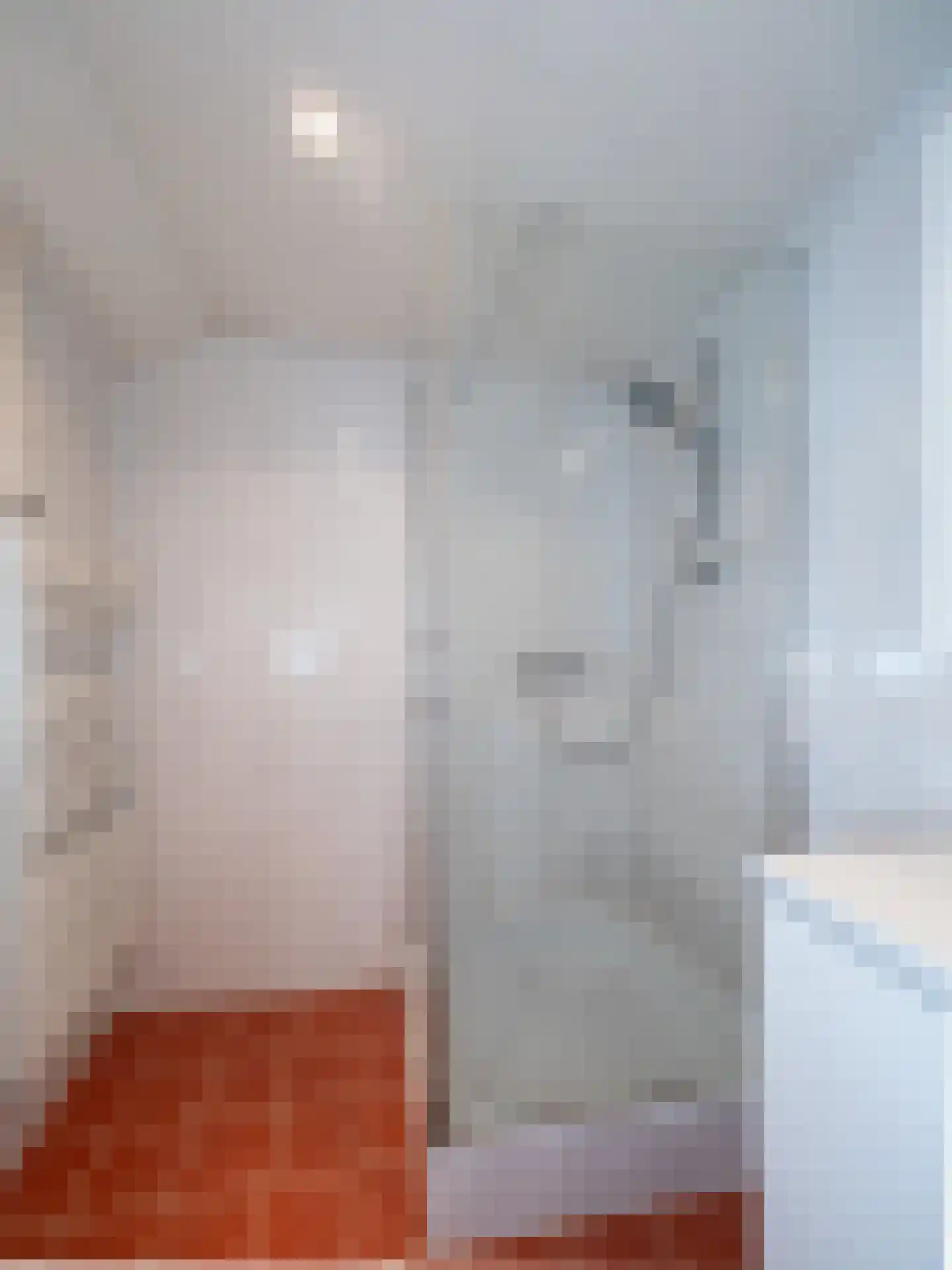 Tolhuis 3128 Nijmegen thumbnail 20