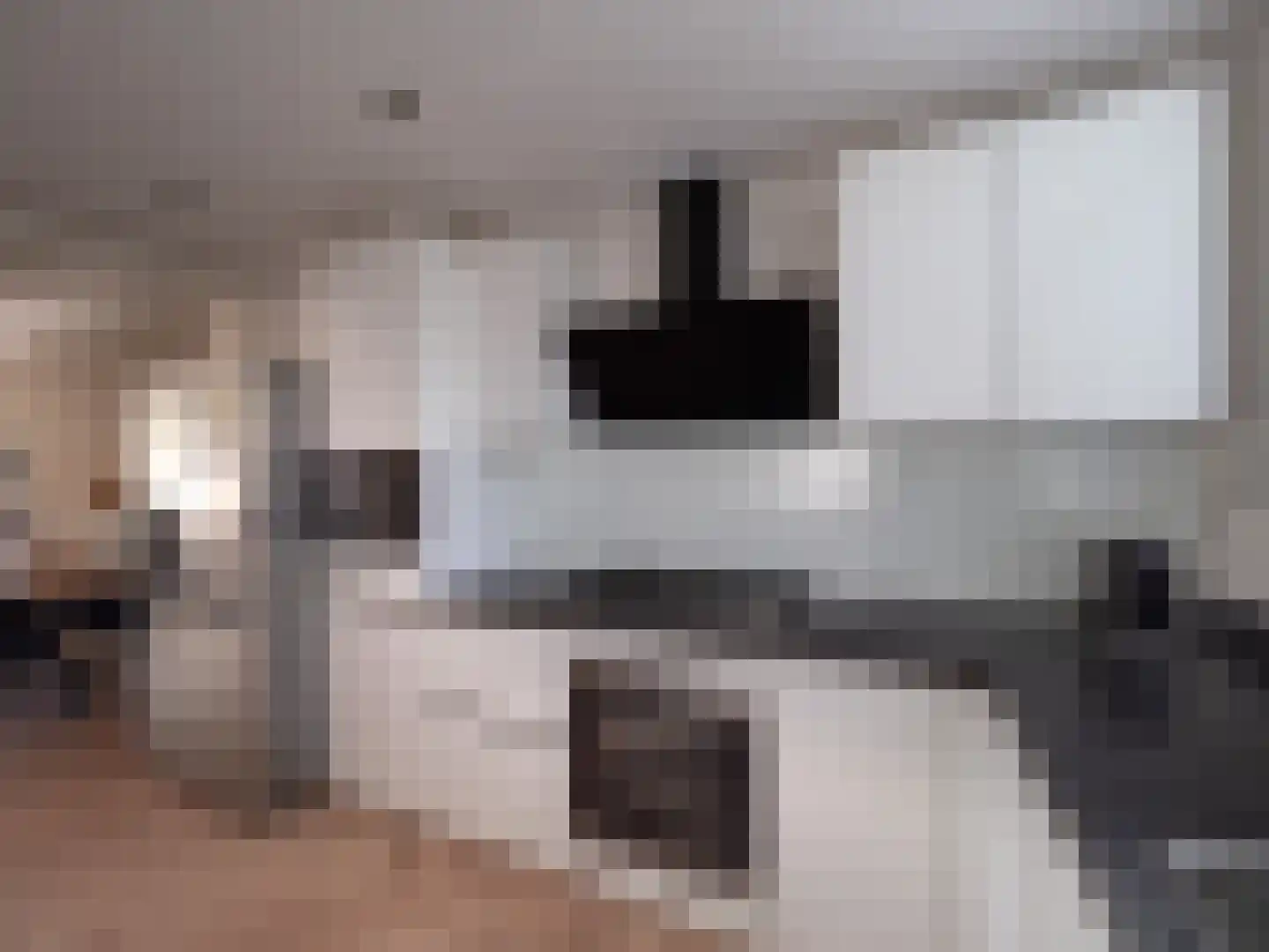 Tolhuis 3128 Nijmegen thumbnail 7