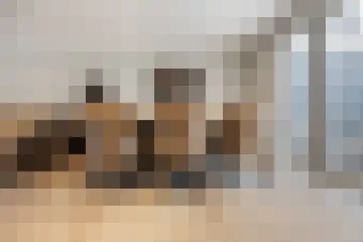 Tolhuis 3219 Nijmegen thumbnail 11