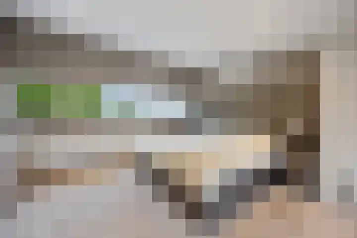 Tolhuis 3219 Nijmegen thumbnail 19