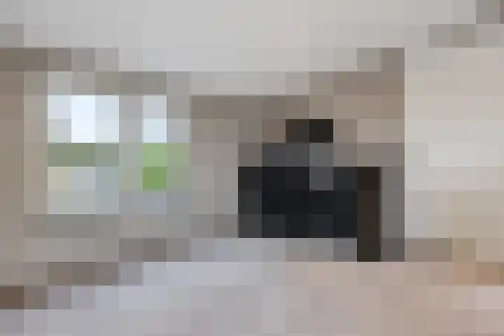 Tolhuis 3219 Nijmegen thumbnail 22