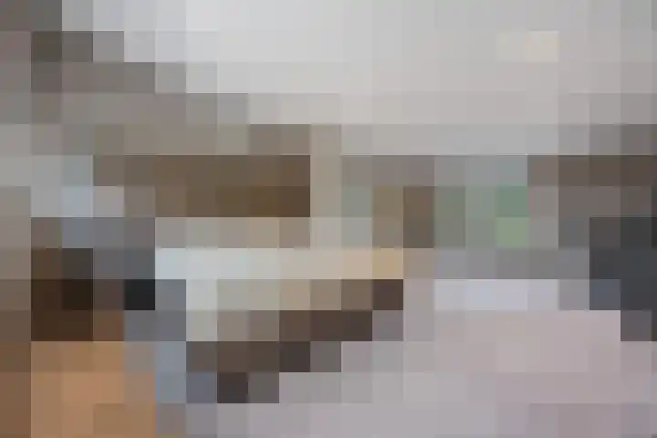 Tolhuis 3219 Nijmegen thumbnail 23