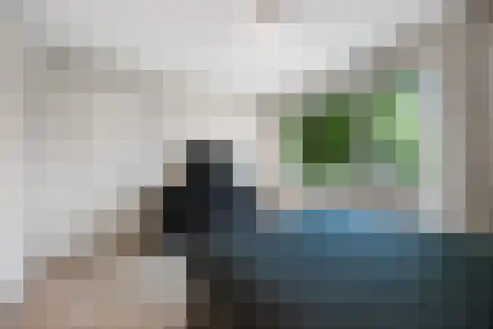 Tolhuis 3219 Nijmegen thumbnail 34