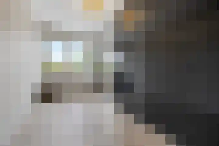 Tolhuis 3219 Nijmegen thumbnail 39