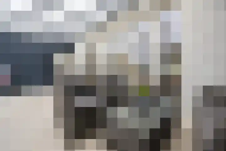 Tolhuis 3219 Nijmegen thumbnail 43