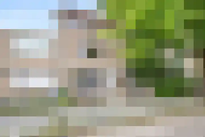 Tolhuis 3219 Nijmegen thumbnail 50