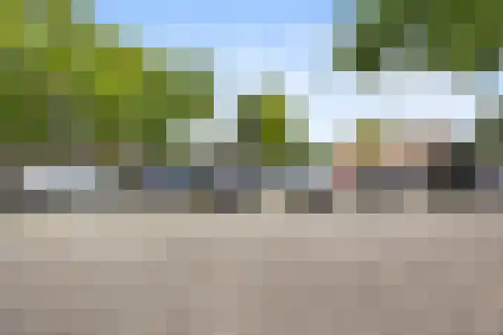 Tolhuis 3219 Nijmegen thumbnail 51