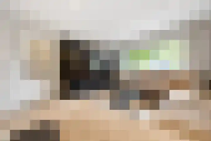 Tolhuis 3219 Nijmegen thumbnail 7