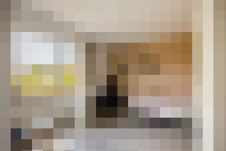 Tolhuis 3315 Nijmegen thumbnail 18